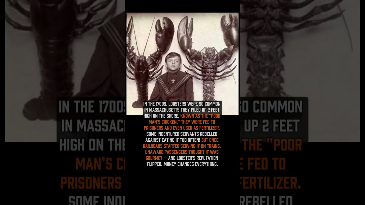 🦞 Lobster used to be prison food!  