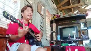The Stream Band Member