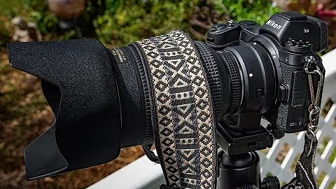 Nikon Z6- Making The Switch by Photographer Julie ...