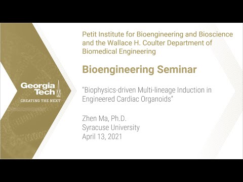 Bioengineering Seminar - Zhen Ma, Ph.D., Syracuse University - 4.13.21