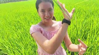GE 112   MATHEMATICS IN THE MODERN WORLD  LESSON 1: NATURE OF MATHEMATICS