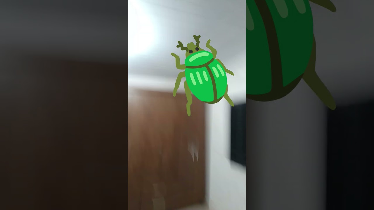 quando tem Uma Barata no reino das 