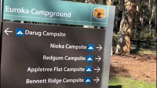 Download lagu Euroka campground #nature #camping #sydneytrip #naturecamping#video