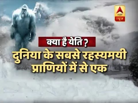 What Is A Yeti? | ABP News