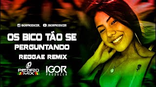 REGGAE FUNK REMIX 2023 - OS BICO TÃO SE PERGUNTANDO - MC PH @igorproducer & @djpedromixofc