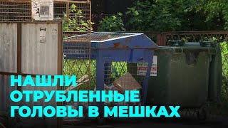 Отрубленные головы: на запах трупного мяса пожаловались жители Новосибирска