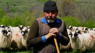 Baciu Sandu Iacob spune adevăruri fără ocolișuri - sat Negrilești | Miei BREZI foarte FRUMOȘI