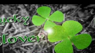 Lucky Clover screenshot 3