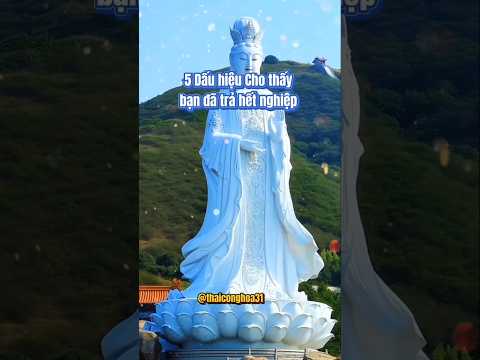 5 Dấu hiệu