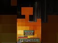 clip of me thinking that I have my elytra on #foryou #minecraft #memes #minecraftyoutuber #funny