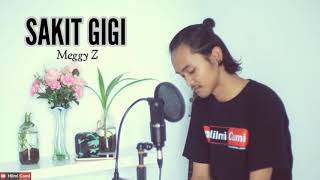 Sakit Gigi - Meggy Z ( cover ) Hilmi