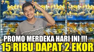 Download Lagu BAHAYA ! PRAMUKA MEMANAS ! KENARI WARNA CERAH DIJUAL SEMURAH INI DIKIOS NASIKHIN PASAR PRAMUKA MP3 Download Lagu BAHAYA ! PRAMUKA MEMANAS ! KENARI WARNA CERAH DIJUAL SEMURAH INI DIKIOS NASIKHIN PASAR PRAMUKA MP3
