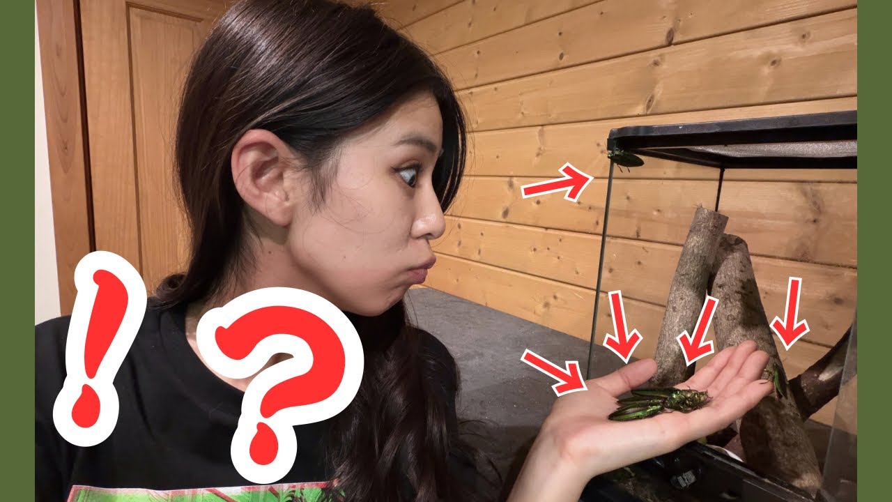 その後もあいつが増え続けてる件