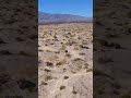 Look out 👀 Truckin’ through in the dunes 🏜️