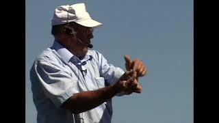 Chloroplast Orientation