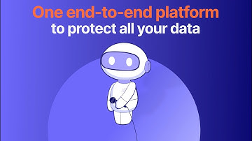 Concentric AI Overview