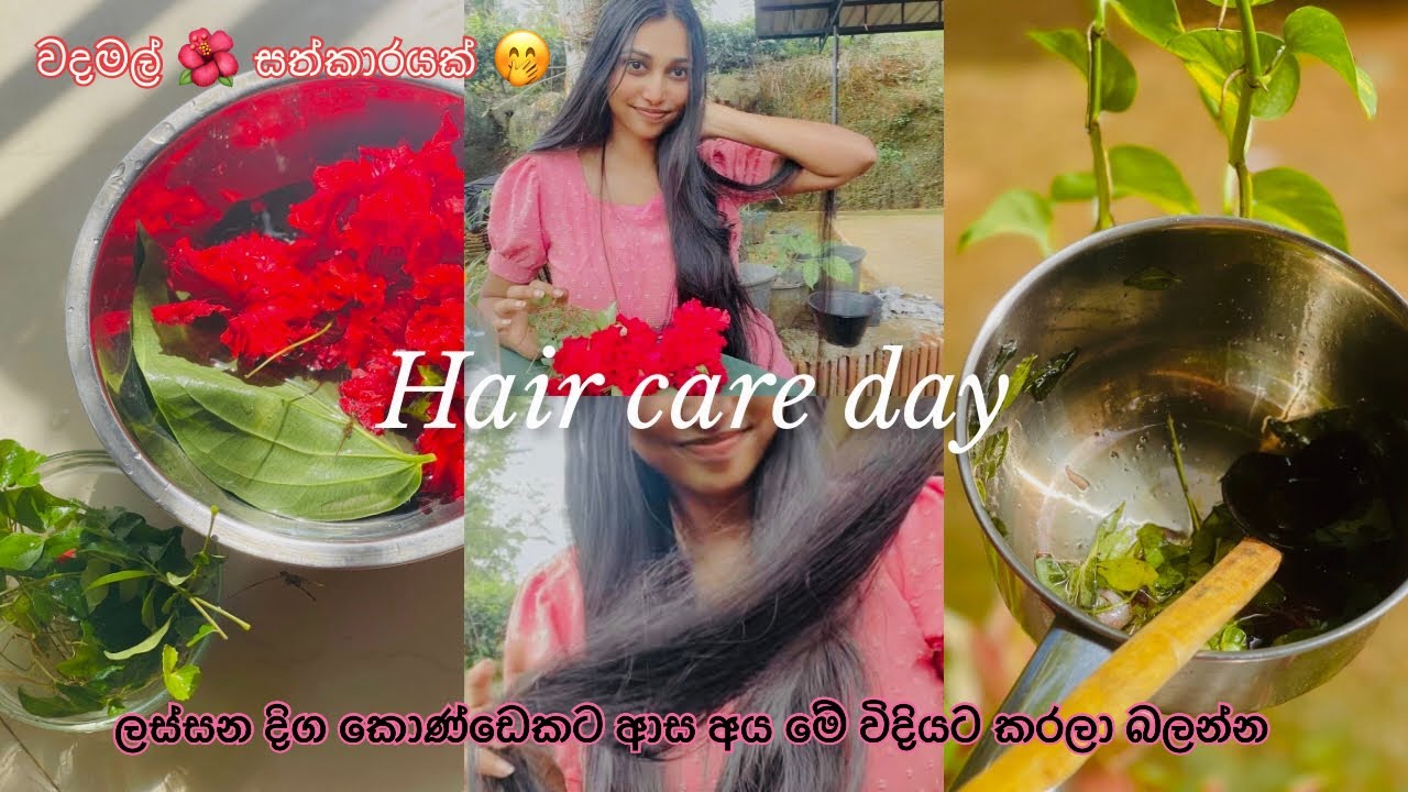 බලාගෙන ඉද්දී කොණ්ඩේ වැවෙන රහස🌺💗🌿 දිග කොණ්ඩෙකට ආස ඔයාලට 🥹💘 