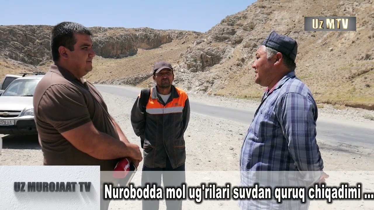 Nurobodda mol ug'rilari suvdan quruq chiqadimi ...