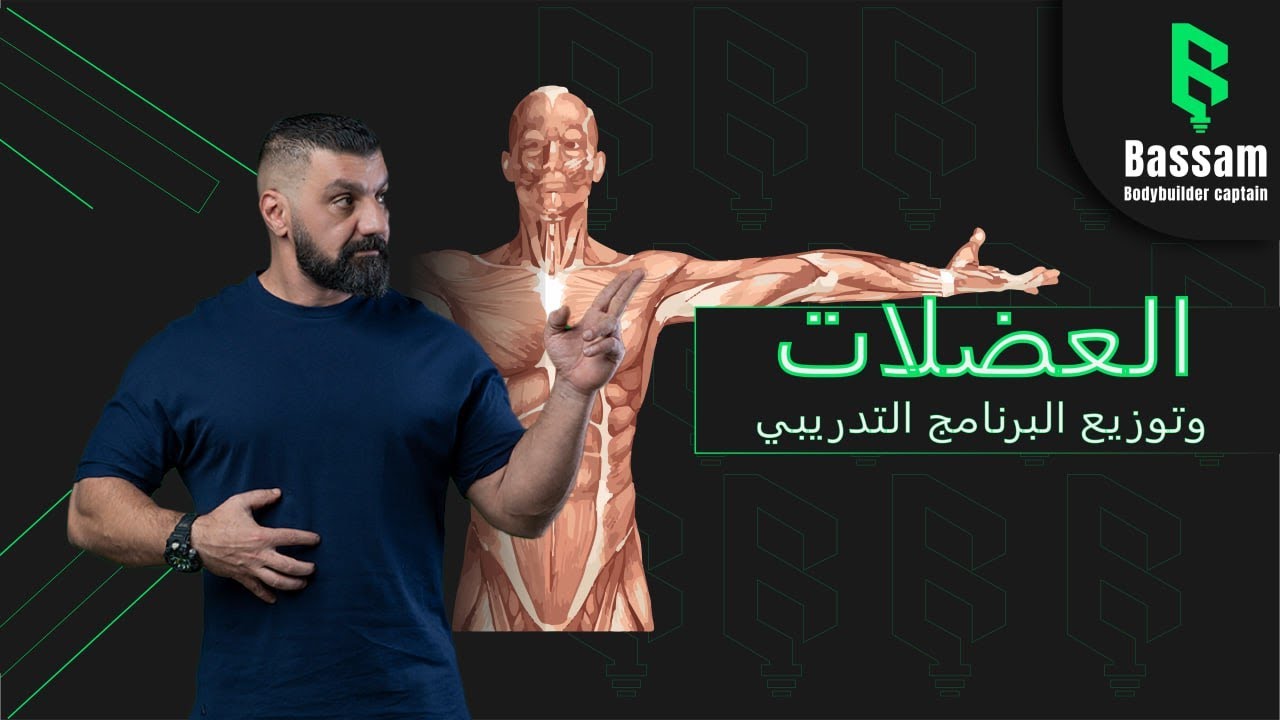 حجم ونوع العضلات وتوزيع البرنامج التدريبي