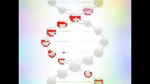 SandBox Coloring DNA Time-Lapse!