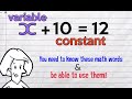 Understanding Algebraic Equations