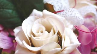 Lisola Della Bellezza - Centro Estetico A Reggio Emilia