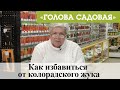 Голова садовая - Как избавиться от колорадского жука