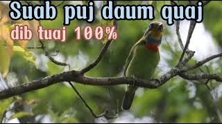 Suab puj daum quaj zoo heev,dib tuaj 100%