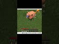 Subscribe #minecraft #pokemon #cobblemon #bugtypepokemon #shorts