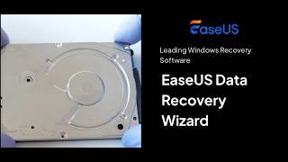 How to Recover Deleted Files on PC | EaseUS Data Recovery Wizard | DigitalLicenseStore
