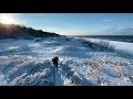 Walking on frozen dunes at Baltic seaside - Palanga, Kunigiškės