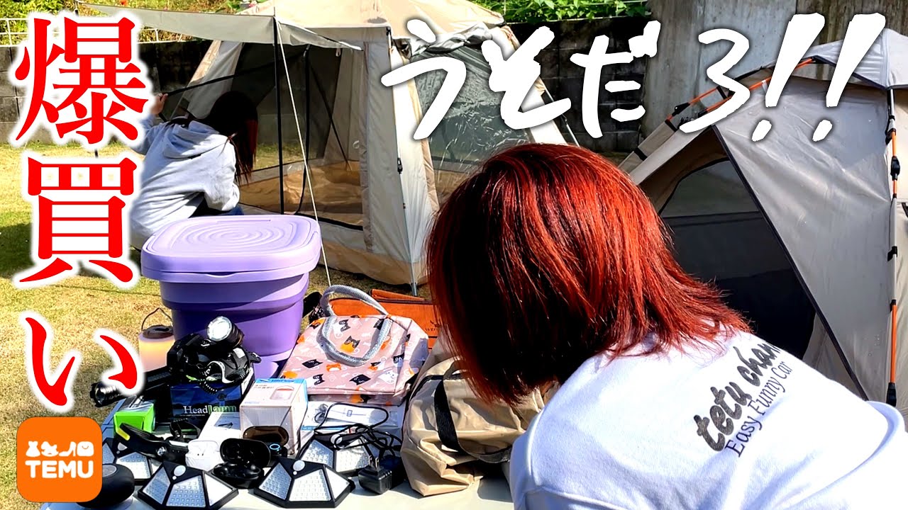 Temu — это приложение для заказов по почте, которое пользуется большой популярностью в Америке.