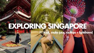 Travel Diaries - Exploring Singapore + crazy few days in Vietnam!