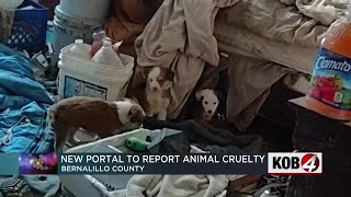 New BCSO portal for reporting animal cruelty cases