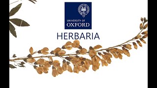 Pressed for time - the Oxford University crowdfund campaign to save plants past and present
