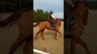 20190214 Lucy and Jocelyn 3rd Level 3