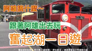Take a OneDay Fenchihu Bus Tour (via Alisan Line) from Chiayi City with AHsiung. Feat.' 蝦蝦小蝦蝦'~