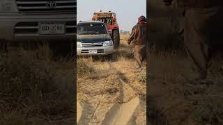 Prado Stucks In Desert bgm ringtone instrumental attitude song  bollywood ncs