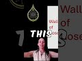 Infinite Energy Protection:🌹The Rose Shield Method