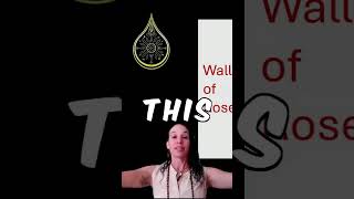 Infinite Energy Protection:🌹The Rose Shield Method