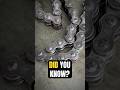 DID YOU KNOW? #shorts #biker #short #ytviral #shortsfeed #chainlink #information