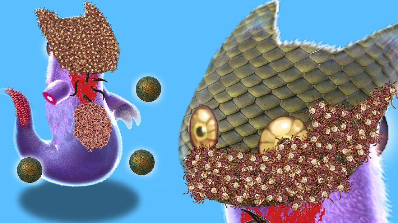 はまSC25BOXUNIT by WANTKEY feat.GAHGA Top_5.jpg?v=1659931521&width=1500