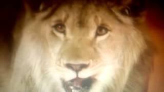 SPACE 1999; Mya's Transformation Profile