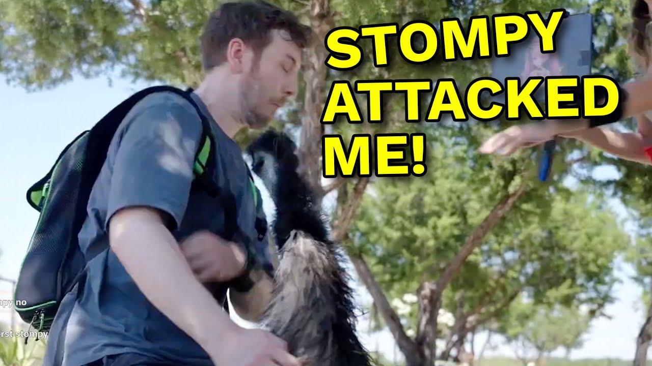 Connor Got Clobbered By Stompy The Emu