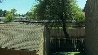 Backyard Timelapse 20260822