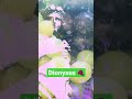Dionysus A Wonderful Patron Gods Witchtok Pagan Myths Witchesofinstagram Witch Dionysus A Wonderful Patron Gods Witchtok Pagan Myths Witchesofinstagram Witch