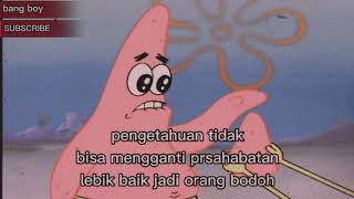 story wa petrik star kata-kata bijak terbaru 2020