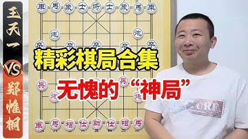 【精彩棋局合集】无愧的“神局”，王天一VS郑惟桐，神仙之间的对决
