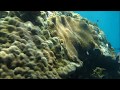 First time bali diving experience with aquamarine diving