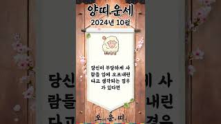 월간 양띠 운세 2024년 10월 #양띠 #오늘의운세 #내일의운세 #월간운세 #운세 #운세쇼츠